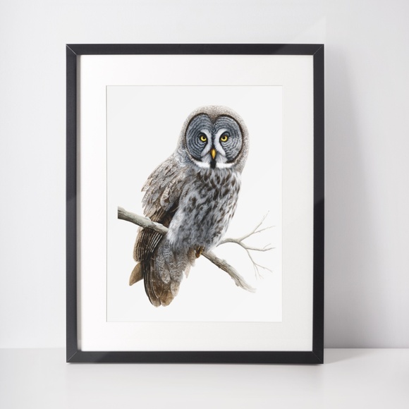 Watercolor Great Grey Owl Portrait Wall Art Print Poster, Unframed - Picture 3 of 6